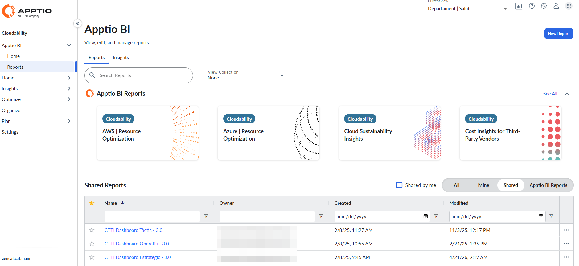 Apptio Report